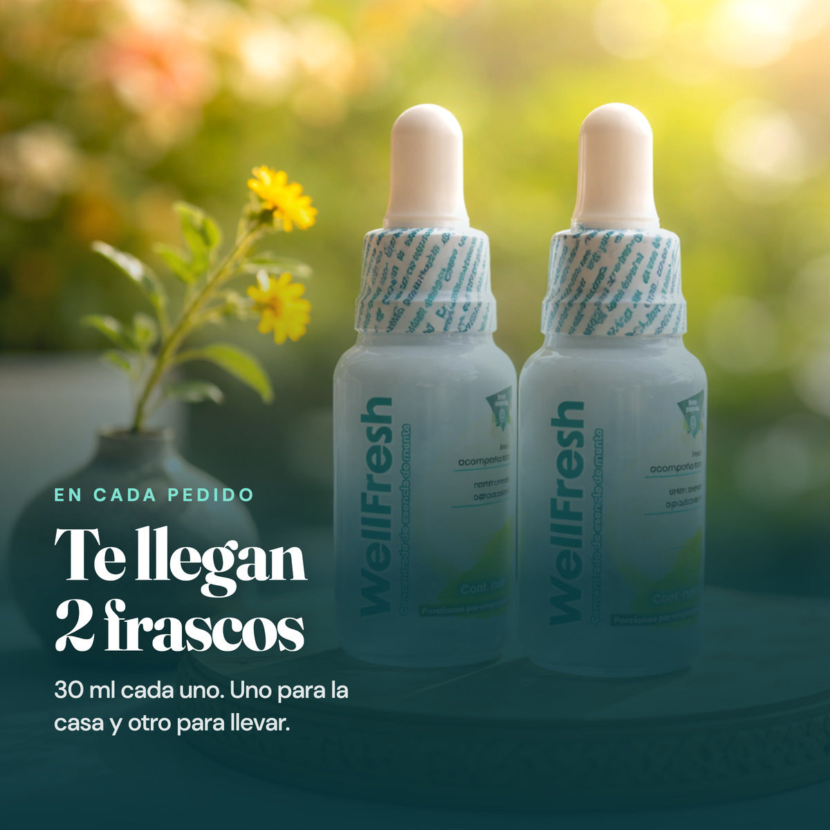 WellFresh · Gotas de Menta para Aliento Fresco (2 frascos)
