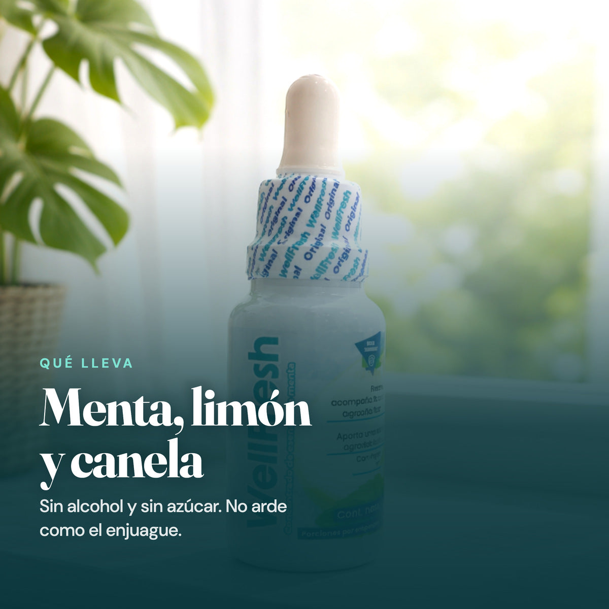 WellFresh · Gotas de Menta para Aliento Fresco (2 frascos)